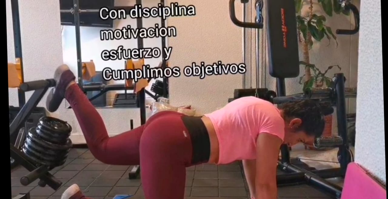 Entrenamiento fisico